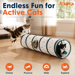 ASPCA tunnel texture craquante en gros plan pour stimulation auditive