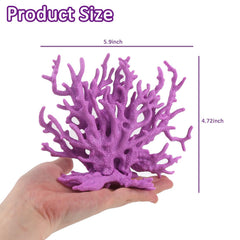 ASUNFO gros plan texture corail montrant surface lisse et durable