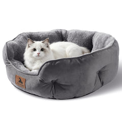 Asvin gros plan Sherpa montrant douceur et chaleur apaisante pour chat
