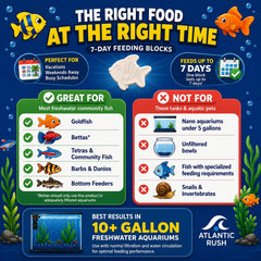 Atlantic Rush bloc placé dans l'aquarium fournissant alimentation régulière aux poissons