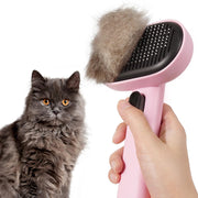 Aumuca brosse chat face avant montrant design et robustesse pour toilettage efficace