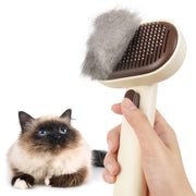 Aumuca brosse face avant montrant forme ergonomique et efficacité de capture des poils