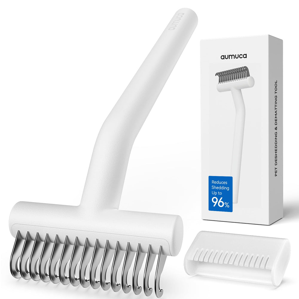 Aumuca vue avant de la brosse montrant le design et la tête