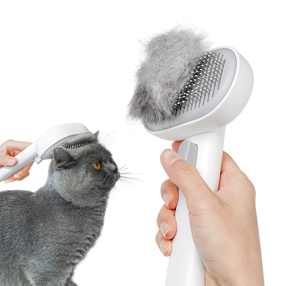 Aumuca vue avant de la brosse montrant la tête et la poignée, praticité immédiate
