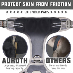 AUROTH anneaux métalliques solides pour une attache sûre