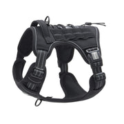AUROTH harnais vue frontale montrant fermeture et confort