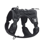 AUROTH harnais face avant montrant boucles rapides et ajustement confortable