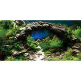 AWERT fond aquarium vue face montrant effet arche et profondeur