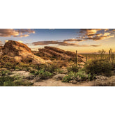 AWERT fond oasis cactus face avant montrant couleurs vives et profondeur