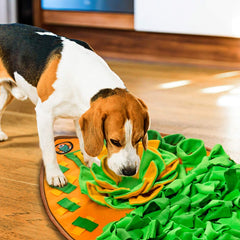 AWOOF chien en train de chercher friandises pour entraînement naturel