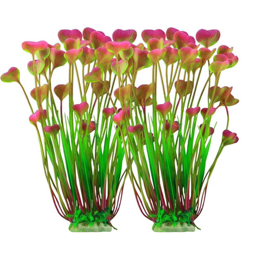 AWUAWU plante aquarium frontale montrant couleur et hauteur bénéfice esthétique