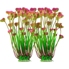 AWUAWU plante aquarium frontale montrant couleur et hauteur bénéfice esthétique
