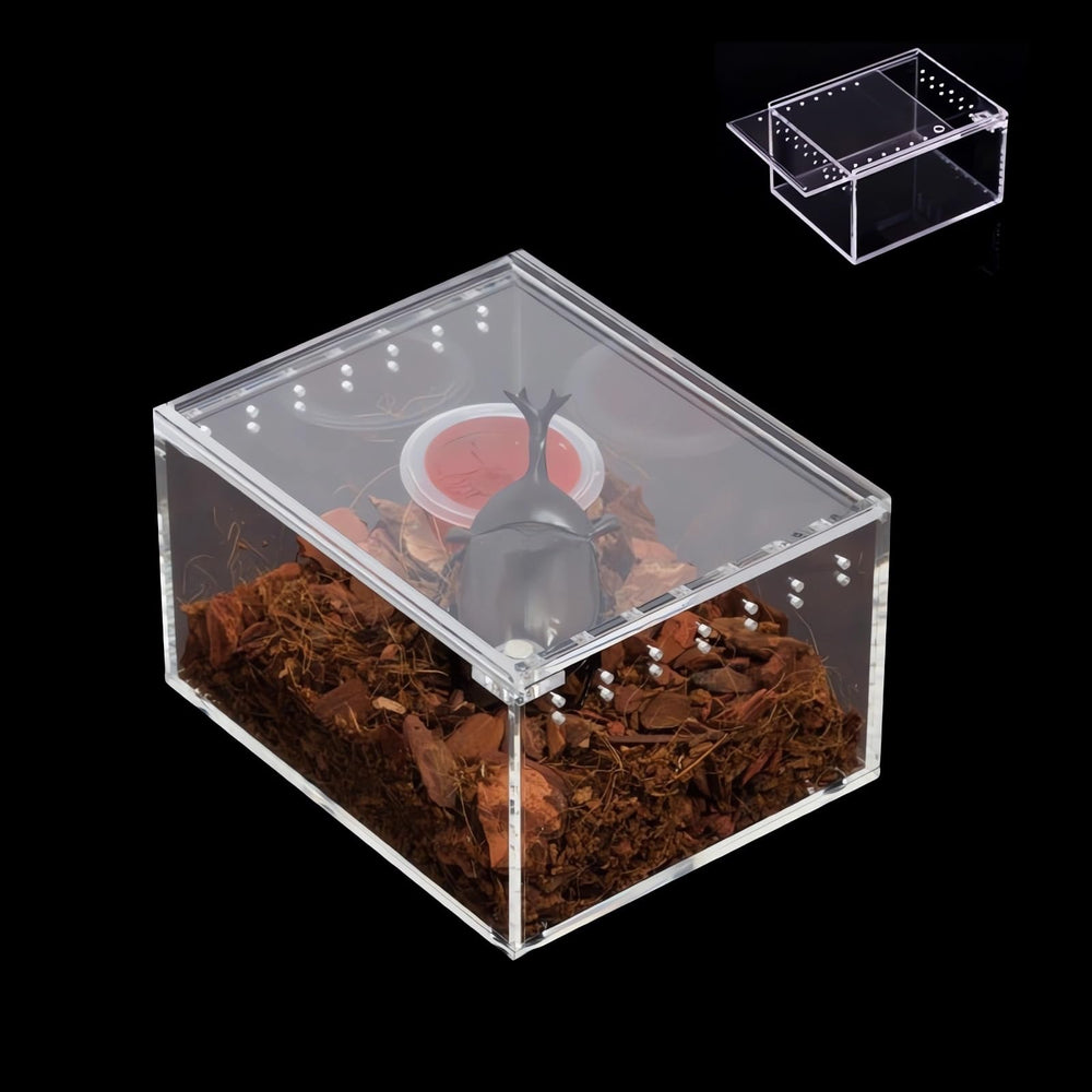 AWXZOM boîte vue frontale transparente montrant visibilité 360°
