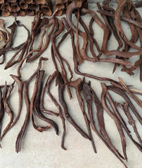 AWXZOM branches dans terrarium montrant surfaces d'escalade pour reptiles