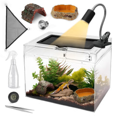 AZV terrarium face avant et visibilité optimale pour observation