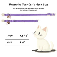 Babole Pet collier porté sur chat illustrant ajustement confortable