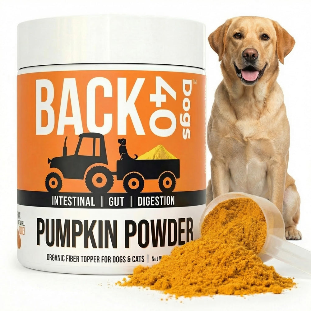 Back 40 Dogs emballage avant présentant une poudre de potiron pratique