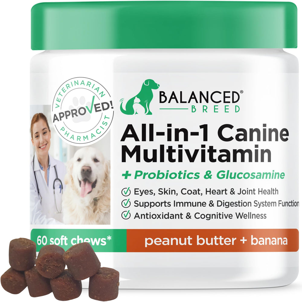 Balanced Breed emballage avant montrant bénéfices pour digestion et mobilité