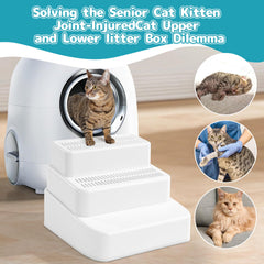 BALAPET rampe en usage avec chat âgé facilitant montée et descente