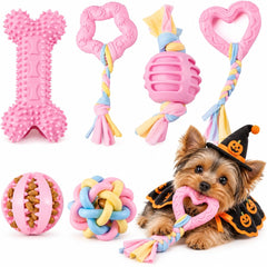 Bambinom pack avant montrant six jouets colorés pour dents plus propres