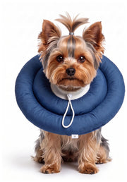 BARDIMIES vue avant du collier donut montrant forme confortable et protection