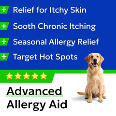 Chien gourmand acceptant un chew BARK&SPARK pour administration sans stress