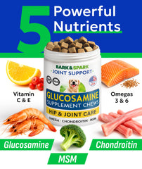 BARK&SPARK étiquette ingrédients listant glucosamine, chondroïtine et MSM