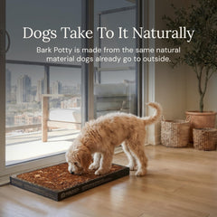 Bark Potty utilisé par un chien illustrant acceptation rapide