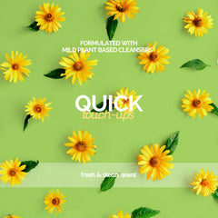 Bark2Basics application sur chien intérieur pour rafraîchir sans eau