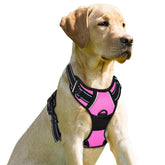 BARKBAY harnais avant vue du gilet facile à enfiler et confortable