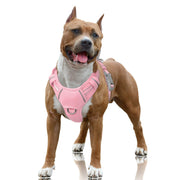 BARKBAY harnais grand chien vue avant montrant maintien et confort