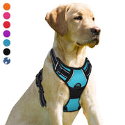 BARKBAY harnais face avant montrant un ajustement confortable