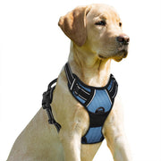 BARKBAY vue avant du harnais montrant un ajustement confortable