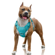 BARKBAY harnais face avant montrant un maintien sûr et design ergonomique