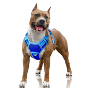 BARKBAY harnais face avant montrant ajustements pour meilleur contrôle