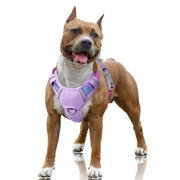 BARKBAY harnais face avant contrôle efficace pour promenades sécurisées
