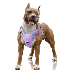 BARKBAY harnais face avant contrôle efficace pour promenades sécurisées