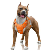 BARKBAY harnais face avant montrant coupe et visibilité accrue