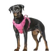 BARKBAY harnais rose vu de face montrant fermeture et design, meilleur maintien