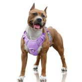 BARKBAY harnais face avant montrant design ergonomique et confort