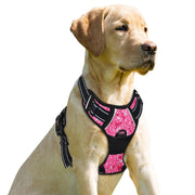 BARKBAY harnais vue frontale montrant ajustement et confort