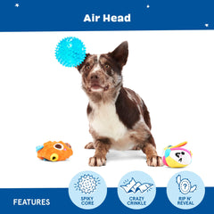 BarkBox balle piquante révélée, bonus durable pour lancer