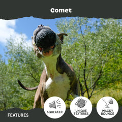 BarkBox Comet rebondant sur l’herbe pour jeux actifs et poursuite