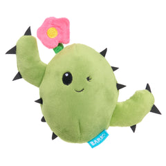 BarkBox Consuela devant emballage montrant design attractif et fun