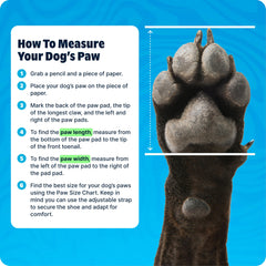 BarkBox botte ouverte montrant la sangle ajustable pour maintien sûr