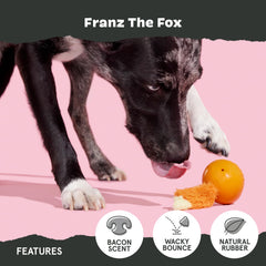 BarkBox Franz the Fox chien lance le jouet pour jeu de poursuite énergique