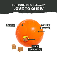 BarkBox chiot jouant avec le Pumpkin Prodigy pour exercice et distraction