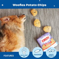 Chien jouant avec BarkBox Woofles pour divertissement interactif