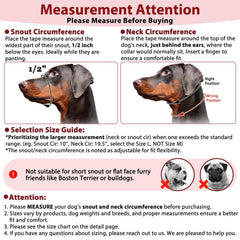 BARKLESS sangle réglable et clip rapide pour un ajustement sécurisé