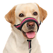 BARKLESS harnais de tête vue frontale montrant maintien confortable